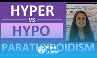 Hypoparathyroidism vs Hyperparathyroidism Hyperparathyroidism and Hypoparathyroidism Nursing NCLEX