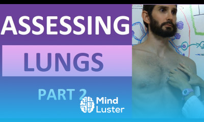 Lung Assessment Nursing Lung Auscultation Assessing Lung Sounds Part 2