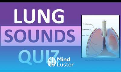 Lung Sounds Quiz NCLEX Review Crackles Wheezes Stridor Pleural Friction Rub
