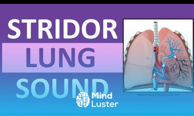 Stridor Sound Breathing Sounds Abnormal Lung Sounds