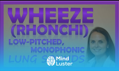 Wheezes Lung Sounds Monophonic Rhonchi Breath Sounds Abnormal Sonorous Wheeze