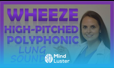 Wheezes Lung Sounds High Pitched Polyphonic Wheeze Sibilant Wheeze Rhonchi Abnormal Breath Sounds