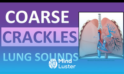 Crackles Coarse Lung Sounds Crackles and Rales Breath Sounds Abnormal