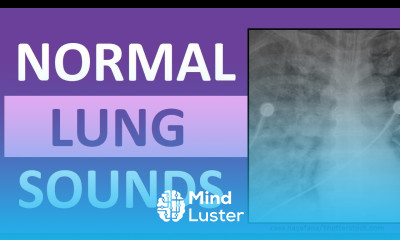 Lung Sounds Normal Bronchial Bronchovesicular Vesicular Breath Respiratory Sounds