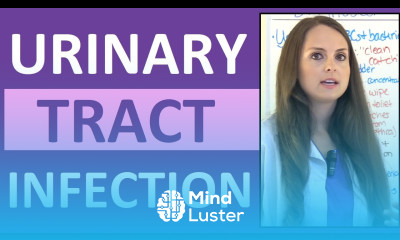 Urinary Tract Infection Nursing NCLEX UTI Symptoms Treatment Cystitis Pyelonephritis Urethritis