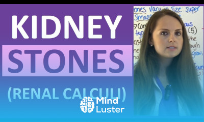 Kidney Stones Renal Calculi Nursing Lecture Symptoms Treatment Causes NCLEX