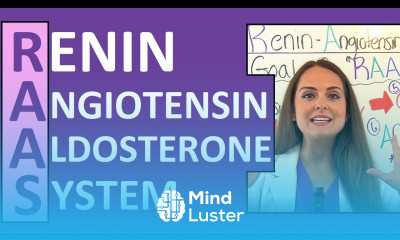 Renin Angiotensin Aldosterone System RAAS Nursing Mechanism for Blood Pressure