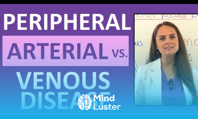 Peripheral Arterial Disease vs Peripheral Venous Disease PAD and PVD Nursing Symptoms