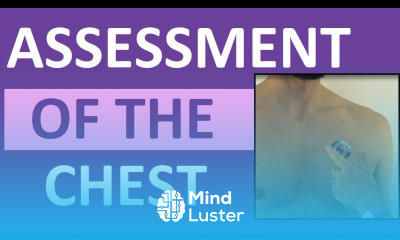 Chest Assessment Nursing Heart Lung Assessment Head to Toe Exam