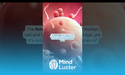 5 Mind Blowing Facts about FERTILITY You Haven t Heard Before