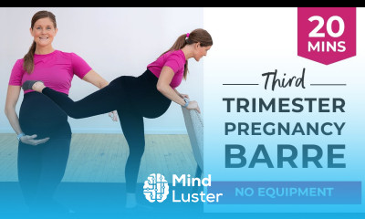 20 Minute Third Trimester Pregnancy Barre Workout NO EQUIPMENT