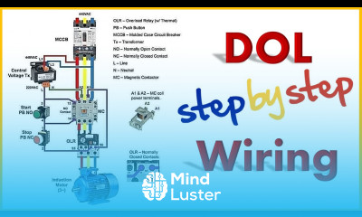 3 Phase DOL Starter Wiring Diagram DOL Starter Best Tutorial