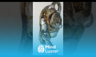 Amazing Project with 12v DC Motor Chain Sprocket short