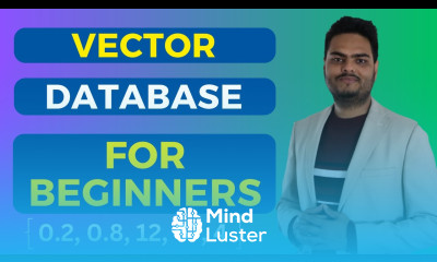 Vector database for beginners Vector database example vector database for LLM