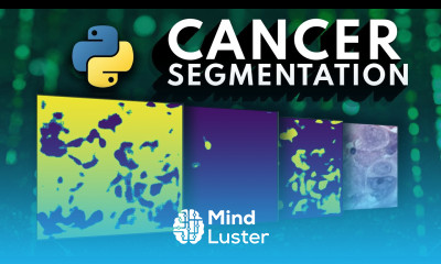 I tried building an ML Cancer Segmentation API in 15 Minutes