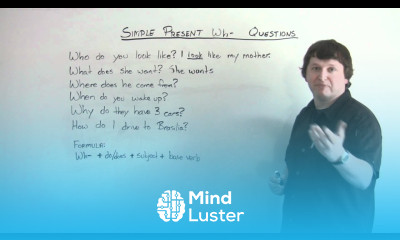 Learn English Grammar Present Simple WH QUESTIONS - Mind Luster