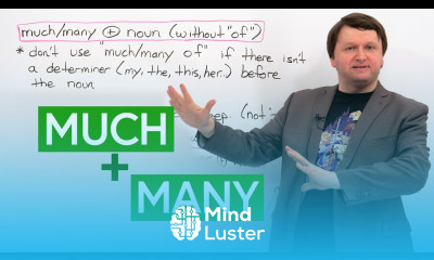 Learn English MUCH MANY