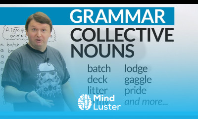 Collective Nouns in English How to talk about groups of people and things