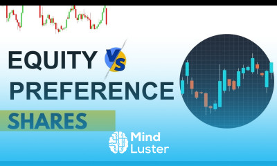 Difference Between Equity and Preference Shares