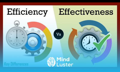 Efficiency vs Effectiveness What s the Difference