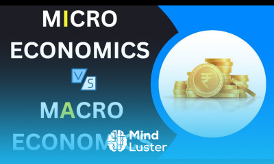 Difference Between Micro and Macro Economics with Examples