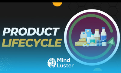 Product Life Cycle PLC Meaning Stages and Strategies