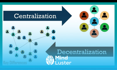 Centralization vs Decentralization Difference Between them with Examples