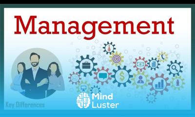 What is Management Definition Characteristics Levels and Importance