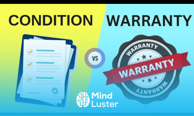 Difference Between Condition and Warranty with Examples