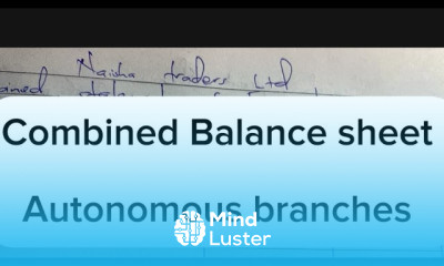 Combined balance sheet autonomous branches branch so