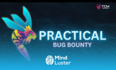 Practical Bug Bounty