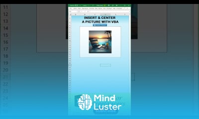 How To Insert A picture In Excel With VBA SHORTS