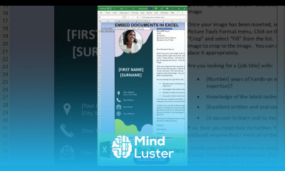 How To Embed Documents In Excel SHORTS