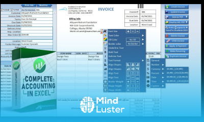 Learn How To Create This Incredible Excel Accounting Application Inside My Mentorship Program