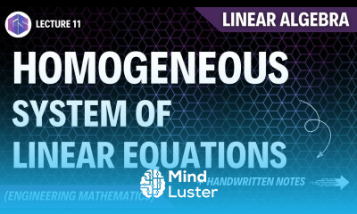 Lec 11 Homogeneous System Linear Algebra