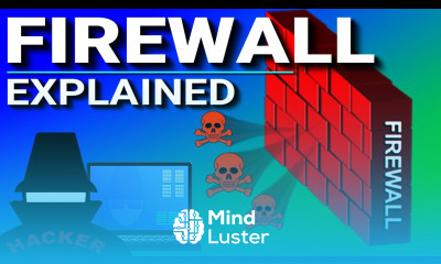 What is a Firewall
