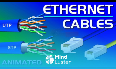 Ethernet Cables UTP vs STP Straight vs Crossover CAT 5 5e 6 7 8 Network Cables