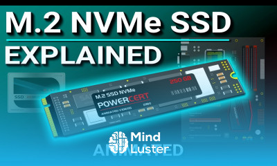 M 2 NVMe SSD Explained M 2 vs SSD
