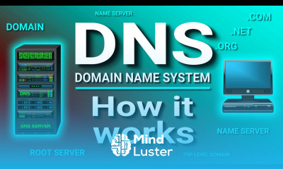 How a DNS Server Domain Name System works