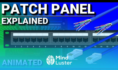 What is a Patch Panel cable management
