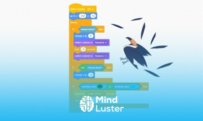 Scratch Programming Flappy Toucan Game Program the Collisions