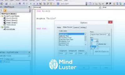 Learn 1 Introduction to Programming with VBA The Integrated Development ...