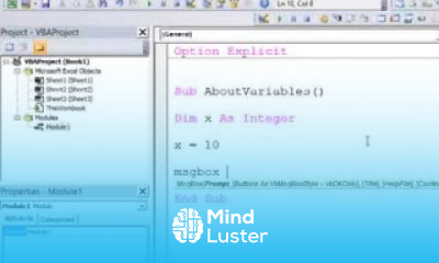 3 Introduction to Programming with VBA Introduction To Variables