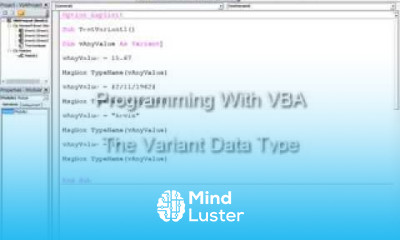 10 Introduction to Programming with VBA The Variant Data Type