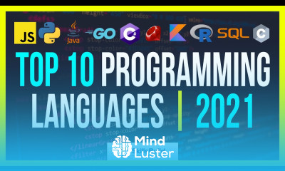 Top 10 Programming Languages to Learn in 2021 to Get a Job Without a University Degree