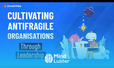 Cultivating Antifragile Organizations Through Leadership