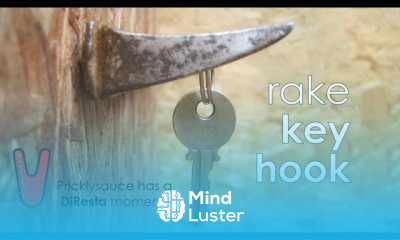 Rake Key Hook Pricklysauce has a Diresta moment