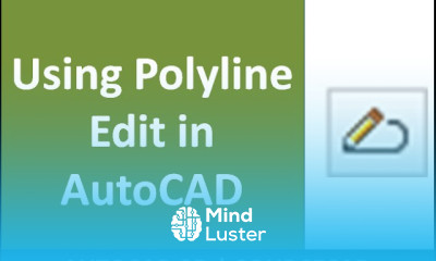 Polyline edit command of AutoCAD with all subcommand
