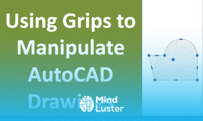 How to use AutoCAD multifunction grips