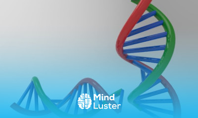 3D modelling DNA strand in AutoCAD